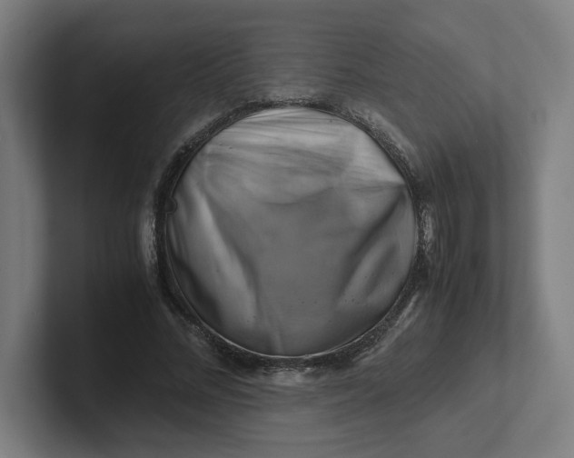 X0000102010684200808011143