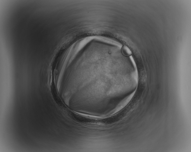 X0000102010685200808011143