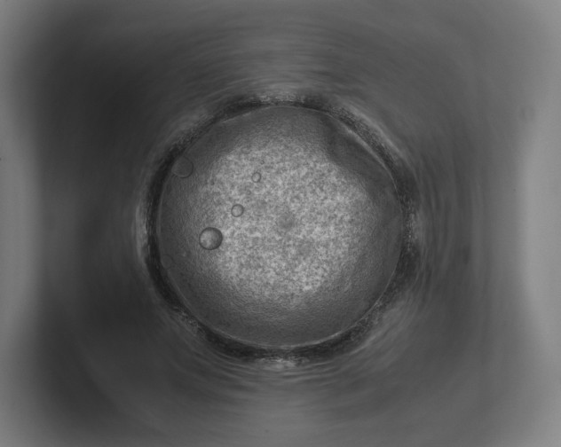 X0000102010687200808011143