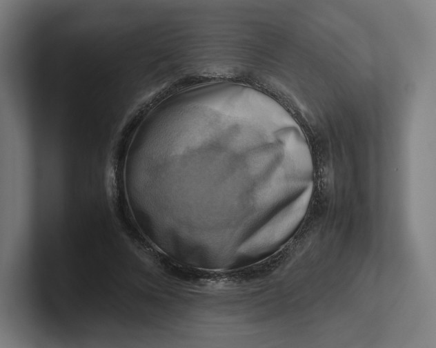 X0000102010688200808011143