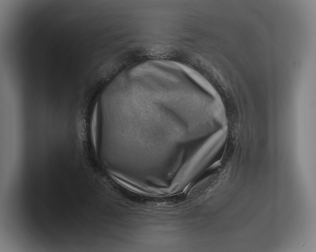 X0000102010689200808011143