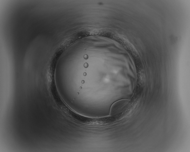 X0000102010691200808011143