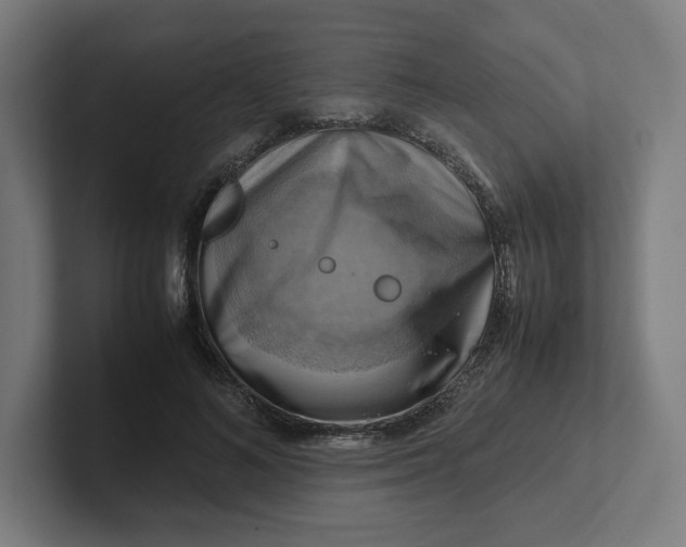 X0000102010692200808011143