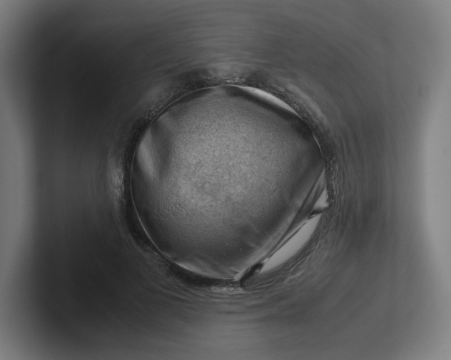 X0000102010693200808011143