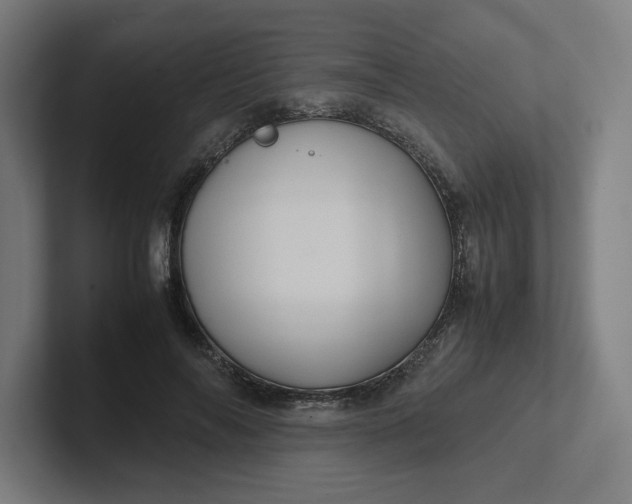 X0000102010694200808011143