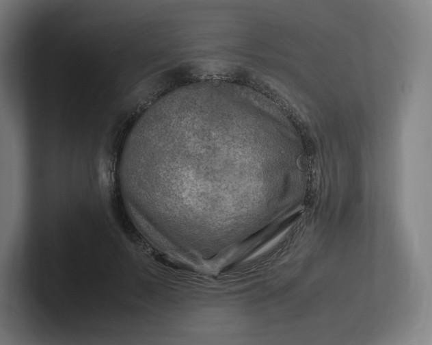 X0000102010695200808011143