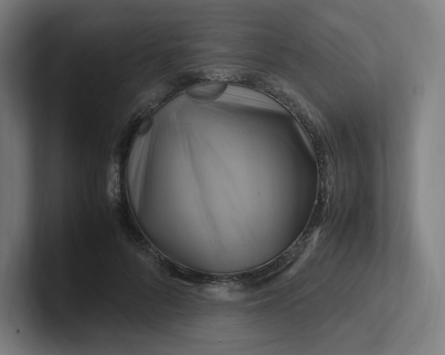 X0000102010696200808011143