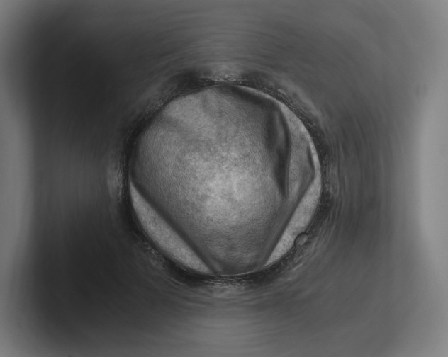 X0000102010697200808011143