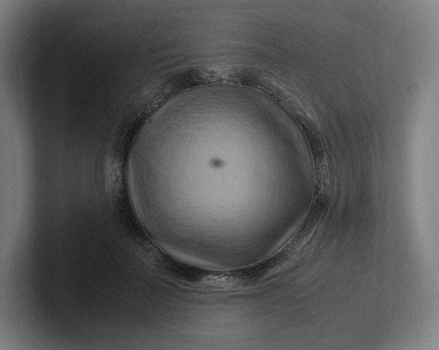 X0000102010699200808011143