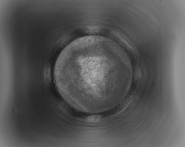 X0000102010700200808011143