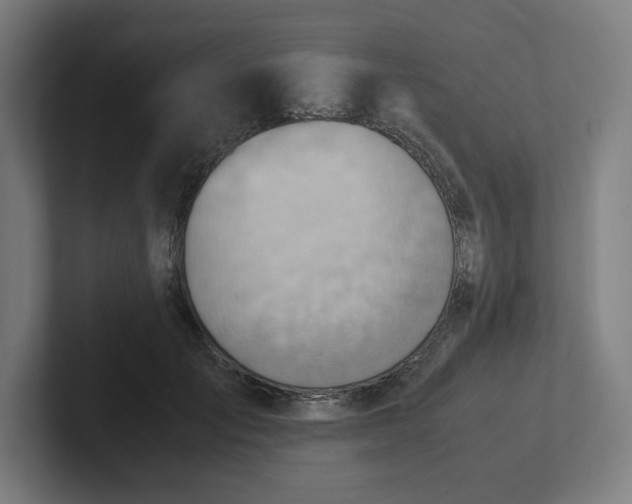 X0000102010701200808011143