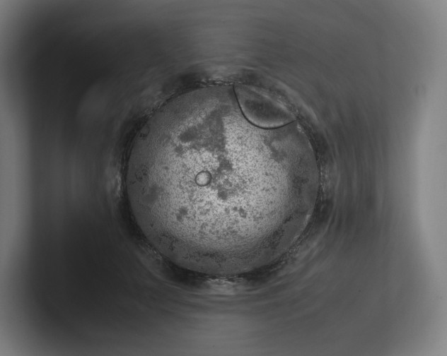 X0000102010703200808011143