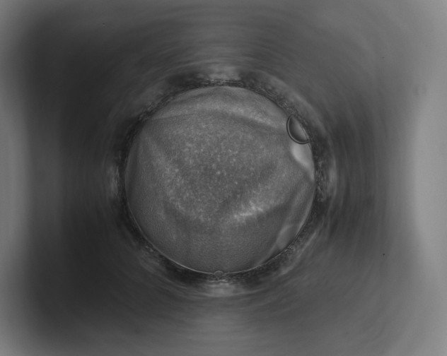 X0000102010704200808011143