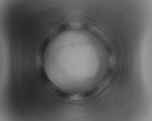 X0000102010705200808011143