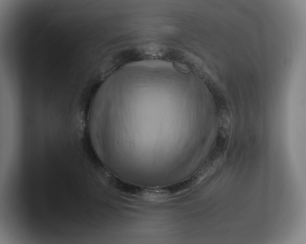 X0000102010707200808011143