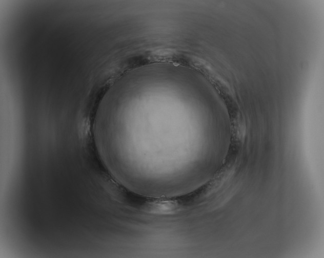 X0000102010711200808011143