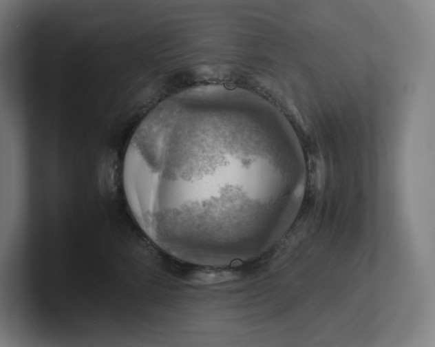 X0000102010712200808011143