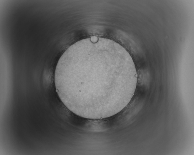 X0000102010713200808011143