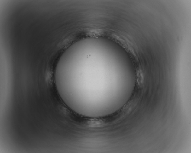 X0000102010714200808011143