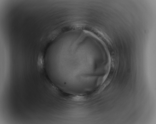 X0000102010718200808011143