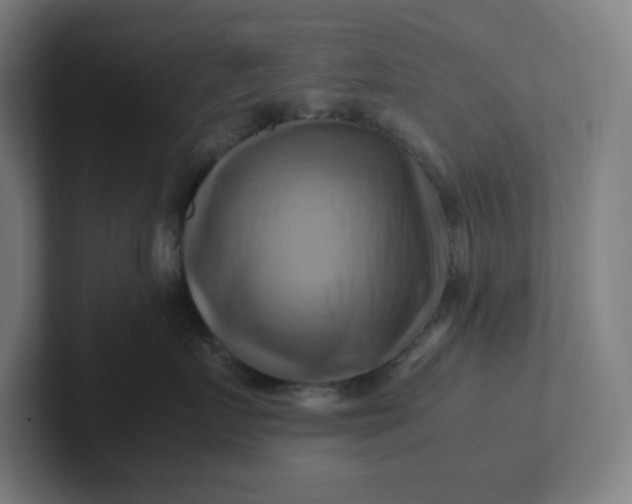 X0000102010719200808011142