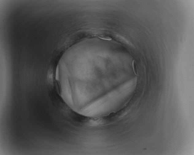 X0000102010720200808011142