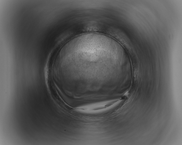 X0000102010722200808011142