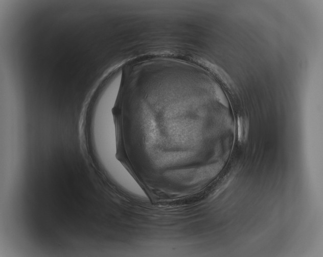 X0000102010723200808011142