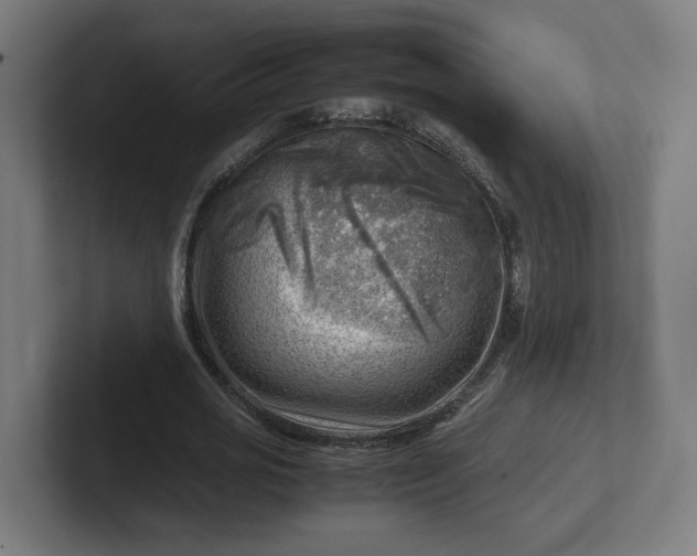 X0000102010725200808011142