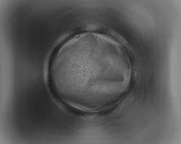 X0000102010728200808011142