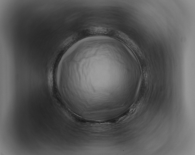 X0000102010729200808011142