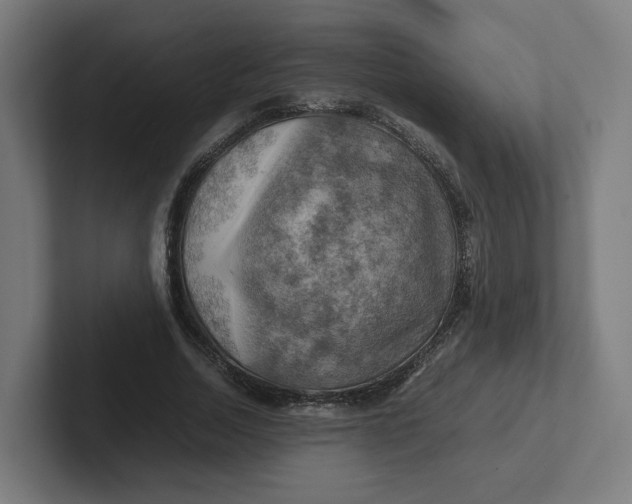 X0000102010730200808011142