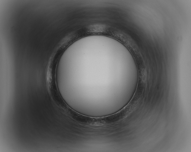 X0000102010731200808011142