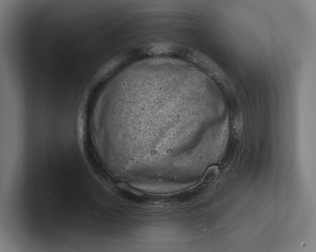 X0000102010732200808011142