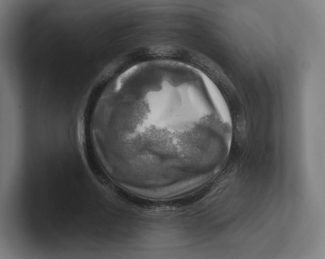 X0000102010734200808011142