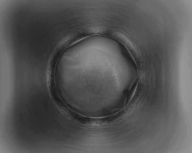 X0000102010736200808011142