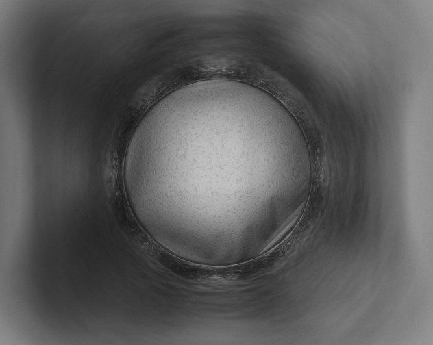 X0000102010737200808011142