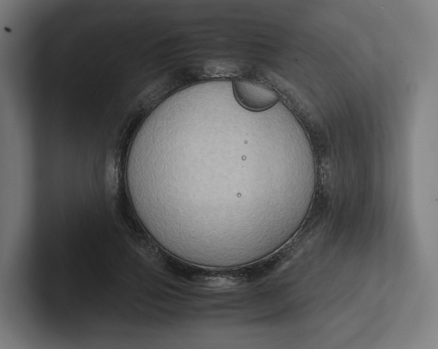 X0000102010741200808011142