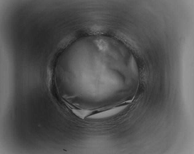 X0000102010742200808011142