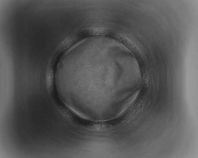 X0000102010744200808011142