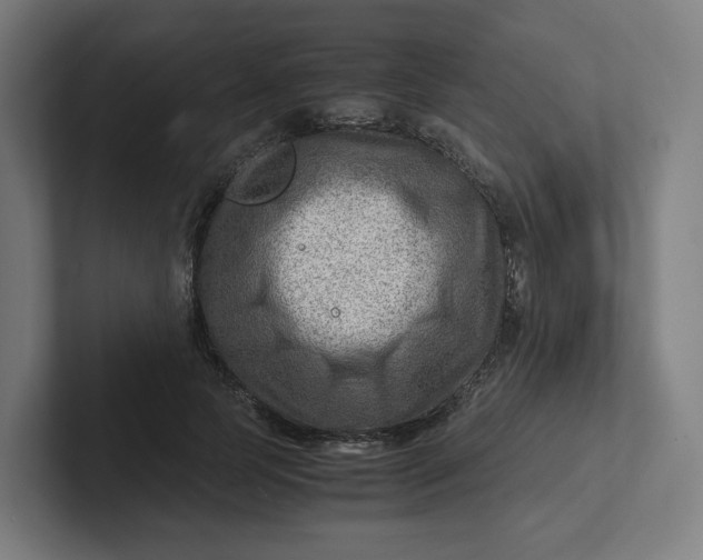 X0000102010745200808011142