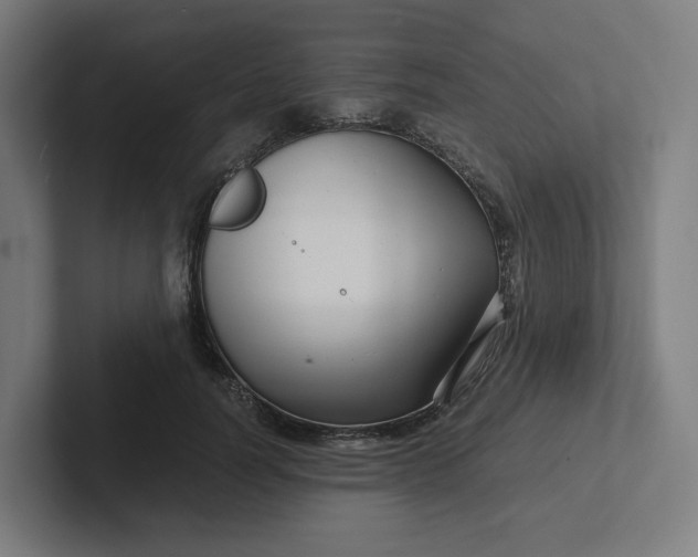 X0000102010746200808011142