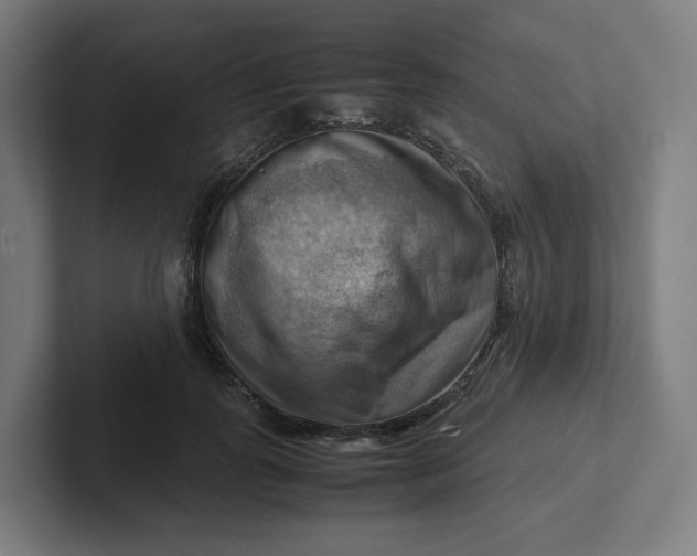 X0000102010747200808011142