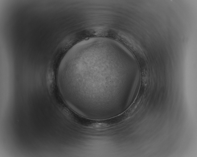 X0000102010748200808011142