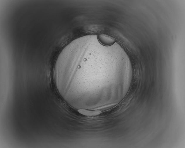 X0000102010749200808011142