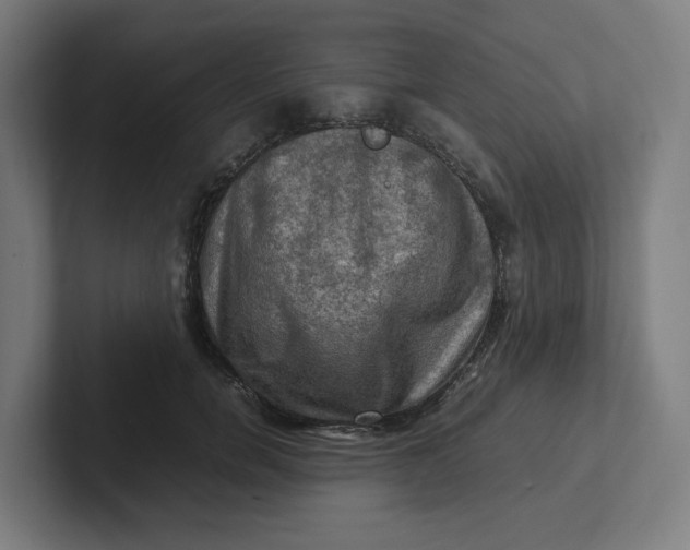 X0000102010750200808011142