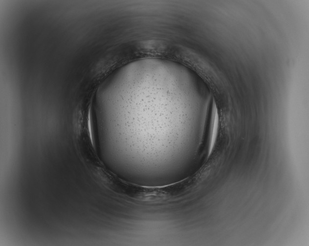 X0000102010752200808011142