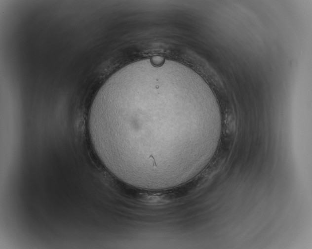 X0000102010753200808011142