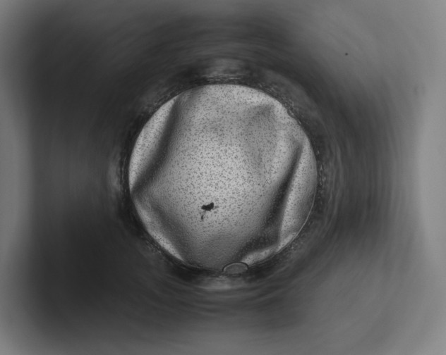 X0000102010755200808011142