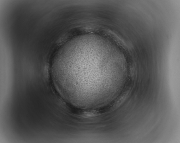 X0000102010757200808011142